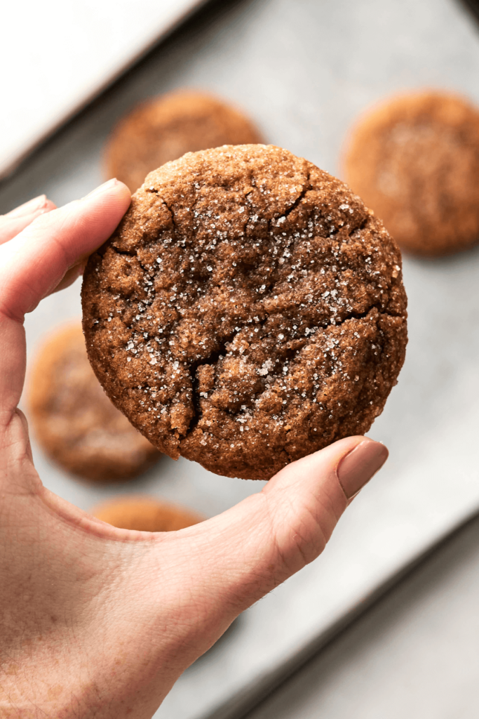 Primer plano de una mano sosteniendo una galleta de jengibre y melaza recién horneada con una parte superior agrietada recubierta de azúcar. Otras galletas están desenfocadas en el fondo en una bandeja para hornear.